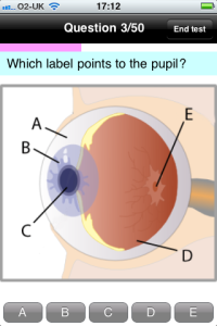 Which label points to the pupil?